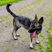 processed/4e403f5c-7384-4b0c-9582-aa678bc1d283/facility/0002a617-c212-4143-b0fd-711c57b308db