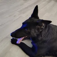 processed/4e403f5c-7384-4b0c-9582-aa678bc1d283/facility/038d7c55-3a3b-4dc3-9d12-82974e1a6f42