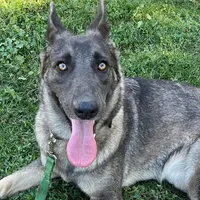 processed/4e403f5c-7384-4b0c-9582-aa678bc1d283/facility/05adf4a4-0925-4393-8d20-bbbc6f572025