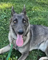 processed/4e403f5c-7384-4b0c-9582-aa678bc1d283/facility/05adf4a4-0925-4393-8d20-bbbc6f572025