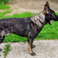 processed/4e403f5c-7384-4b0c-9582-aa678bc1d283/facility/10a34ef9-dbbe-499b-abd6-7c22c6eb36ea