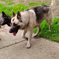 processed/4e403f5c-7384-4b0c-9582-aa678bc1d283/facility/252f37cf-acbf-40bb-905a-3b737366a474