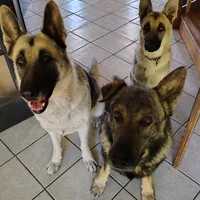 processed/4e403f5c-7384-4b0c-9582-aa678bc1d283/facility/3c9730e2-c465-4912-991f-8c11811d60d7