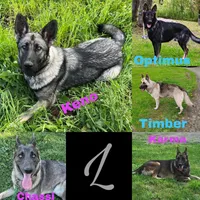 processed/4e403f5c-7384-4b0c-9582-aa678bc1d283/facility/50669c7b-94b3-44b7-a42e-b4a5fdf99101