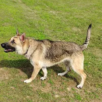 processed/4e403f5c-7384-4b0c-9582-aa678bc1d283/facility/58e12b1b-fbed-450c-a076-8fd2a667a35c