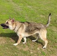 processed/4e403f5c-7384-4b0c-9582-aa678bc1d283/facility/58e12b1b-fbed-450c-a076-8fd2a667a35c