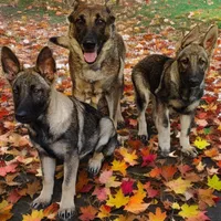 processed/4e403f5c-7384-4b0c-9582-aa678bc1d283/facility/829a5954-5671-42f5-8e47-fac4b84396a5