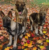 processed/4e403f5c-7384-4b0c-9582-aa678bc1d283/facility/829a5954-5671-42f5-8e47-fac4b84396a5