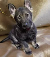 processed/4e403f5c-7384-4b0c-9582-aa678bc1d283/listing/4e200fd5-68a8-4d3b-88c1-f34041798505/31a7453c-1747-4b1b-91a7-27e422e2fd64