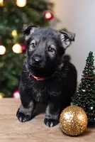 processed/4e403f5c-7384-4b0c-9582-aa678bc1d283/listing/4e200fd5-68a8-4d3b-88c1-f34041798505/f5e20360-66a0-4dd3-80f6-73d547b7d928