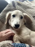 processed/4e4659df-16ee-445a-a12c-642343717b3e/facility/1194fac5-e04b-4bd2-b985-a51311a0ce82