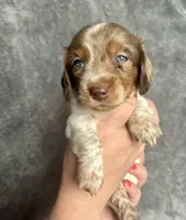 processed/4e4659df-16ee-445a-a12c-642343717b3e/facility/458191af-b580-48e1-a4b1-e557af685162