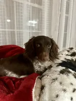 processed/4e4659df-16ee-445a-a12c-642343717b3e/facility/acc0e4dc-ca08-4317-a4d9-43eea35d4ce1