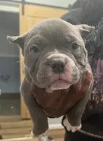 processed/4e5b5134-86c9-4cb7-8c8f-6e0ff3c0b6e8/listing/a0922aa2-a0f6-45c1-b071-3e00a5f272b8/4beb6805-3be0-404f-8d34-3b17c424e88d