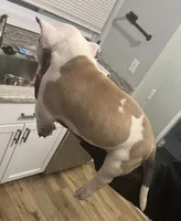 processed/4e5b5134-86c9-4cb7-8c8f-6e0ff3c0b6e8/listing/d66ed0d6-318d-42c3-a292-57e754b1aced/f2f4f438-2d34-4867-a2d1-9476bd56bade