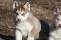 processed/4e60aaf6-3aa8-492a-a0ca-4eaaeaf616b6/listing/0eabff4b-629d-417a-912b-2c03580a1859/2a5a75cc-bf99-46c6-9dc5-27446cf39ff4