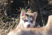 processed/4e60aaf6-3aa8-492a-a0ca-4eaaeaf616b6/listing/0eabff4b-629d-417a-912b-2c03580a1859/580825e8-aaba-4a45-9a25-bfc6b43e2dc2