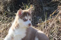 processed/4e60aaf6-3aa8-492a-a0ca-4eaaeaf616b6/listing/0eabff4b-629d-417a-912b-2c03580a1859/665212fb-493b-4107-92ab-ce1776688d2b