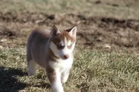 processed/4e60aaf6-3aa8-492a-a0ca-4eaaeaf616b6/listing/0eabff4b-629d-417a-912b-2c03580a1859/6cade968-75ee-46be-9a1b-89b028f82b7a