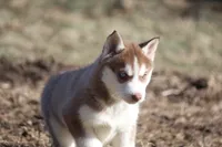 processed/4e60aaf6-3aa8-492a-a0ca-4eaaeaf616b6/listing/0eabff4b-629d-417a-912b-2c03580a1859/9a84c781-7f5c-404b-9c9d-1cfeac50e3a1