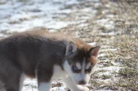 processed/4e60aaf6-3aa8-492a-a0ca-4eaaeaf616b6/listing/0eabff4b-629d-417a-912b-2c03580a1859/c383b5dd-9030-4934-807c-575a7bd530bd