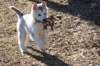 processed/4e60aaf6-3aa8-492a-a0ca-4eaaeaf616b6/listing/44518928-0e54-4ce3-b071-55849e6542a9/19d74967-9610-45e8-a14a-4ca188791594