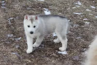 processed/4e60aaf6-3aa8-492a-a0ca-4eaaeaf616b6/listing/44518928-0e54-4ce3-b071-55849e6542a9/1ba00e46-1e22-42ba-b0d4-99f3cf7c7c6e