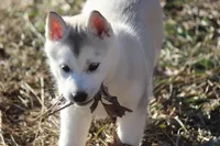 processed/4e60aaf6-3aa8-492a-a0ca-4eaaeaf616b6/listing/44518928-0e54-4ce3-b071-55849e6542a9/c536b6a6-b9f1-43dc-8088-3caf659cd6db