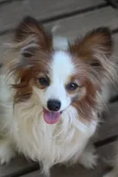 processed/4e60aaf6-3aa8-492a-a0ca-4eaaeaf616b6/listing/6d3fbfa5-9b90-4225-a7a9-a23cf2e4f67f/99fa1372-b986-4f06-8870-5bc9ce5cf9a3