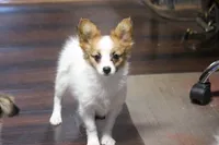 processed/4e60aaf6-3aa8-492a-a0ca-4eaaeaf616b6/listing/6d3fbfa5-9b90-4225-a7a9-a23cf2e4f67f/db192caa-e795-4e97-8e11-af5b6979b7ef