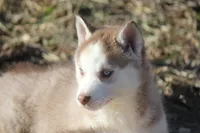 processed/4e60aaf6-3aa8-492a-a0ca-4eaaeaf616b6/listing/8b9b8cd6-2bcd-49d4-8319-32ec4fa480c3/5821b816-680a-408e-9b65-5efcf6e79990