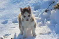 processed/4e60aaf6-3aa8-492a-a0ca-4eaaeaf616b6/listing/8b9b8cd6-2bcd-49d4-8319-32ec4fa480c3/7170de09-d3c7-4ae1-b376-b80c75032ea3