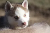 processed/4e60aaf6-3aa8-492a-a0ca-4eaaeaf616b6/listing/8b9b8cd6-2bcd-49d4-8319-32ec4fa480c3/c61ba8d0-0162-4145-ac8d-adf4d219b183