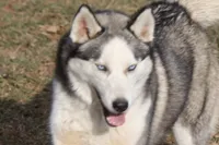 processed/4e60aaf6-3aa8-492a-a0ca-4eaaeaf616b6/listing/be0520f1-c967-4628-8880-907412109aeb/1948277c-3977-48a2-97f4-37ce43450b53