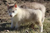 processed/4e60aaf6-3aa8-492a-a0ca-4eaaeaf616b6/listing/be0520f1-c967-4628-8880-907412109aeb/70ad8e58-b0af-4199-add7-073cb85bc23c