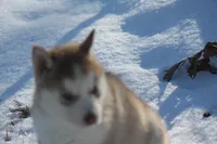 processed/4e60aaf6-3aa8-492a-a0ca-4eaaeaf616b6/listing/be0520f1-c967-4628-8880-907412109aeb/a77a84ec-691d-44e6-919c-c7c80345f19d