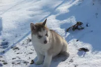 processed/4e60aaf6-3aa8-492a-a0ca-4eaaeaf616b6/listing/be0520f1-c967-4628-8880-907412109aeb/c7b83336-0b8f-47b2-ba40-4b00a3430b8f