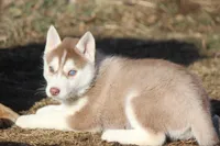 processed/4e60aaf6-3aa8-492a-a0ca-4eaaeaf616b6/listing/d150b9ef-7f8e-4ed7-96f3-b9a0bcfc22f6/3ab37764-10fd-47a9-8525-7c700b8ff65c