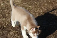 processed/4e60aaf6-3aa8-492a-a0ca-4eaaeaf616b6/listing/d150b9ef-7f8e-4ed7-96f3-b9a0bcfc22f6/8d53cd28-1d1a-4a0c-a6ce-dfe31340cfee