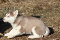 processed/4e60aaf6-3aa8-492a-a0ca-4eaaeaf616b6/listing/d150b9ef-7f8e-4ed7-96f3-b9a0bcfc22f6/e794b05d-8730-4bd2-880c-d4fb078649f4