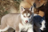 processed/4e60aaf6-3aa8-492a-a0ca-4eaaeaf616b6/listing/d150b9ef-7f8e-4ed7-96f3-b9a0bcfc22f6/ea942b96-4bca-42ef-aad0-5425ad2f4094