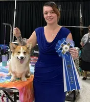 Becki  (Rain's Pink Collar Female), a female Pembroke Welsh Corgi for sale in Mulberry, KS – 7 of 7