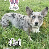 processed/4e66c5e9-86dc-48d1-a7c7-438319fdf011/facility/2791699c-6dd6-447a-b479-de3f79d3b834