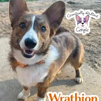 processed/4e66c5e9-86dc-48d1-a7c7-438319fdf011/facility/366fc638-effa-4c85-b084-c99e55c16f3b