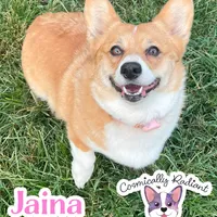 processed/4e66c5e9-86dc-48d1-a7c7-438319fdf011/facility/54c604f2-1143-4ab3-9f48-5c0419c782f3