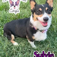 processed/4e66c5e9-86dc-48d1-a7c7-438319fdf011/facility/c5509d36-fb94-4c1d-978c-7d2b6a59c384