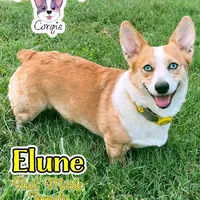 processed/4e66c5e9-86dc-48d1-a7c7-438319fdf011/facility/ca5222e7-195f-4bbe-9e1d-6df444bf094e