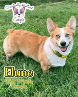 processed/4e66c5e9-86dc-48d1-a7c7-438319fdf011/facility/ca5222e7-195f-4bbe-9e1d-6df444bf094e