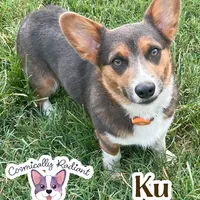 processed/4e66c5e9-86dc-48d1-a7c7-438319fdf011/facility/cb20628c-b459-4cc1-a59a-a6b05c55291c