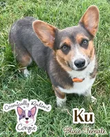 processed/4e66c5e9-86dc-48d1-a7c7-438319fdf011/facility/cb20628c-b459-4cc1-a59a-a6b05c55291c